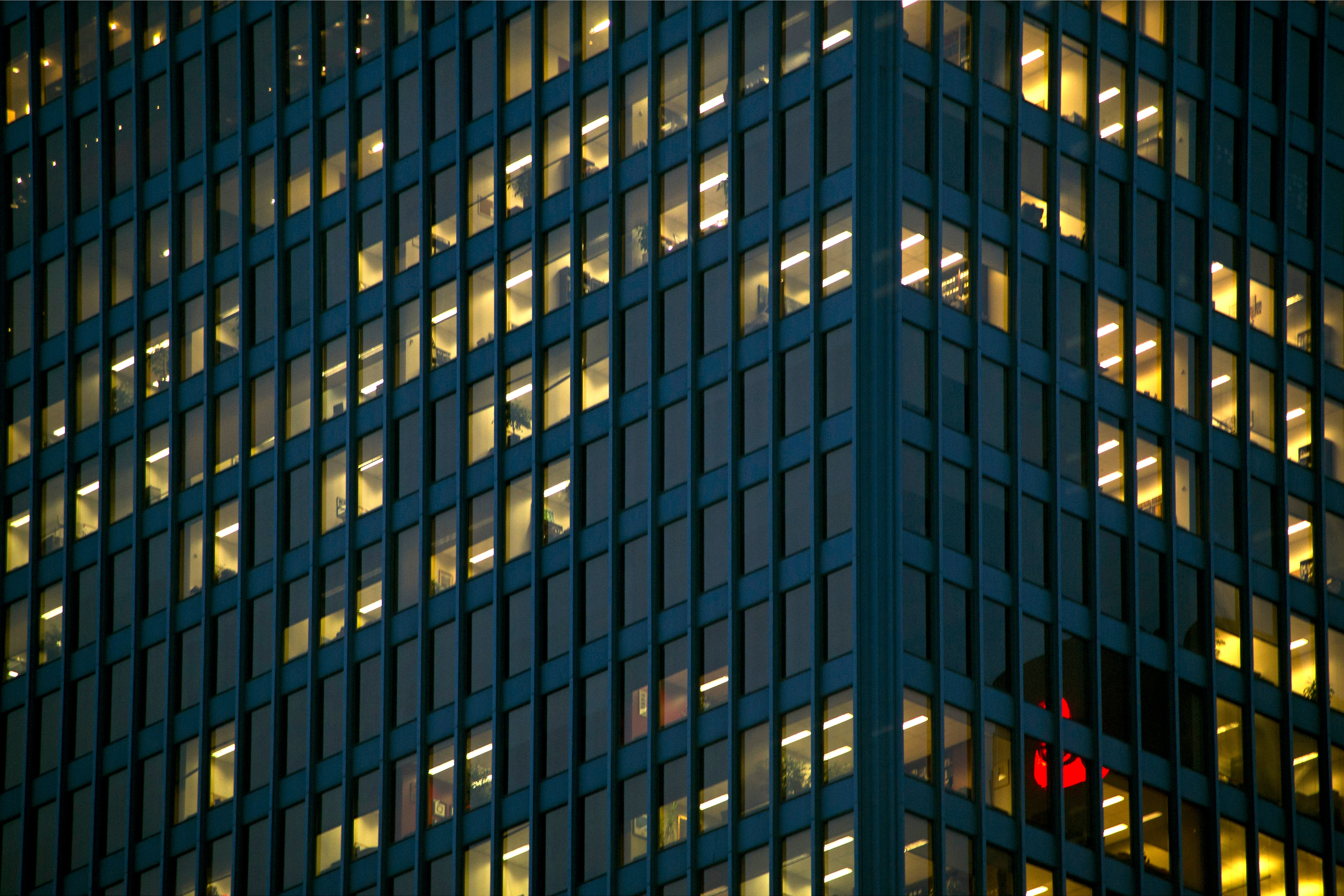 Investor Advisory | Legal Services