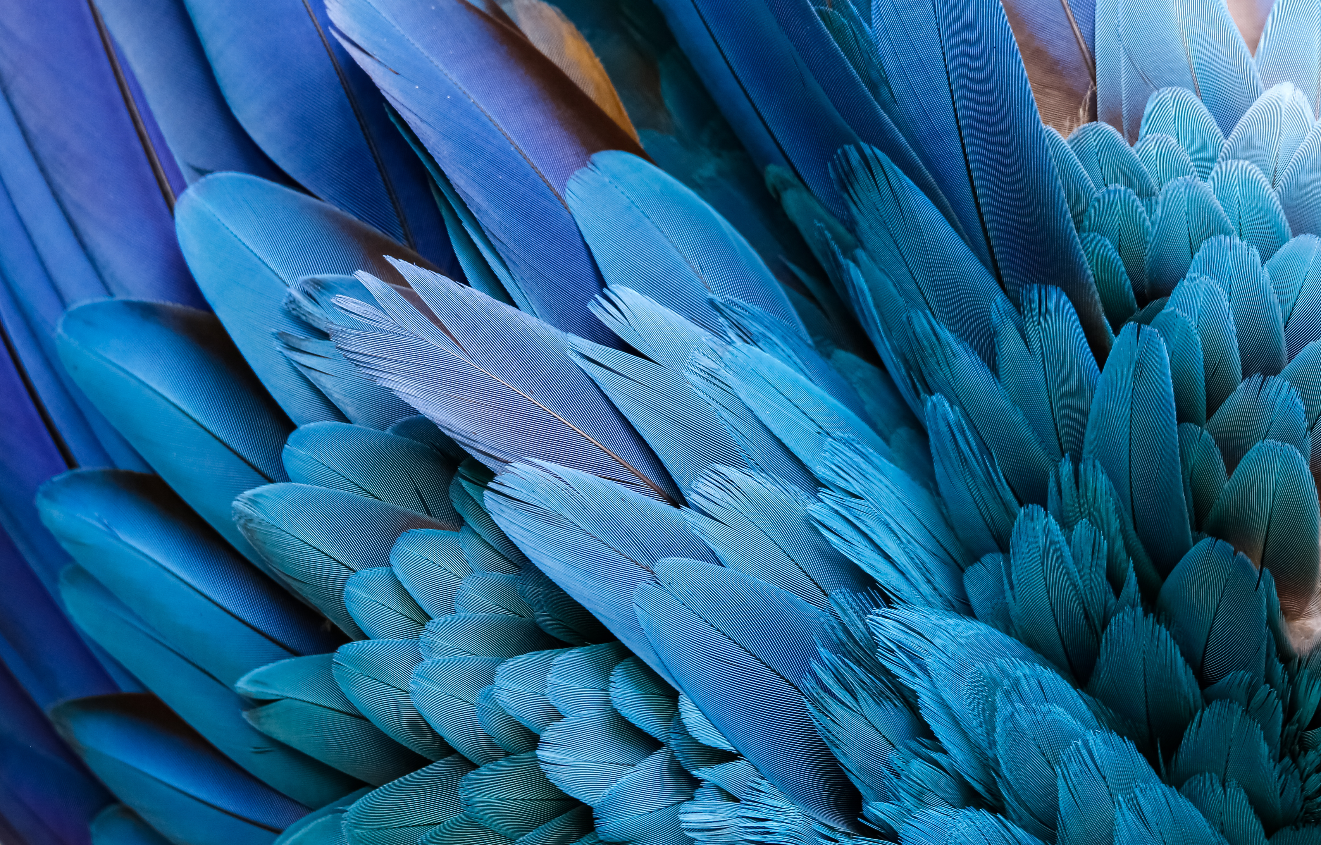 Responsible Business | Diversity & Inclusion | Legal Services