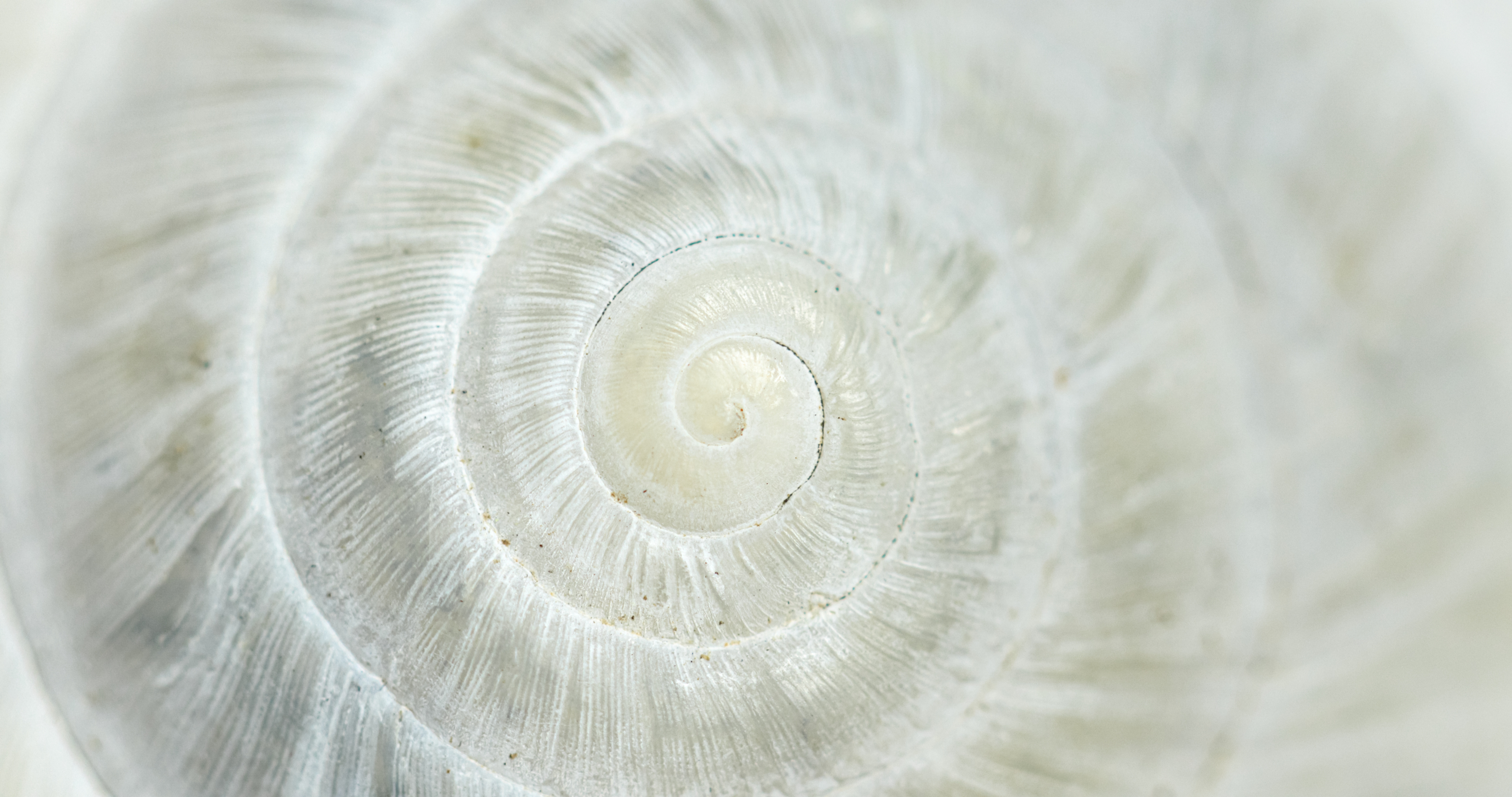Adobestock 441139420